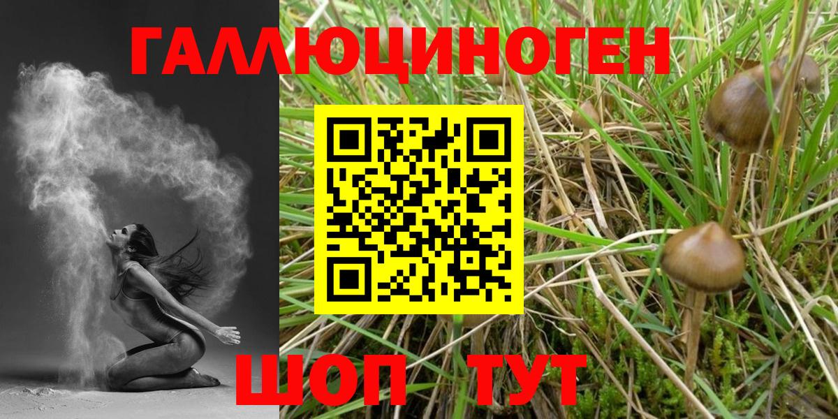 Галлюциногенные грибы MAGIC MUSHROOMS Всеволожск