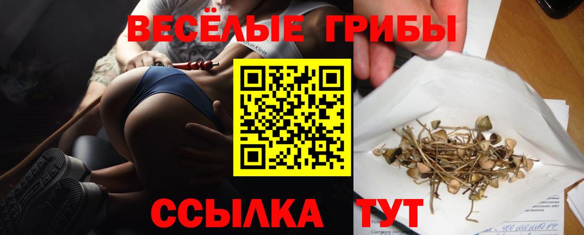 Галлюциногенные грибы мухоморы  Вход с VPN  магазин  наркотиков  Всеволожск 